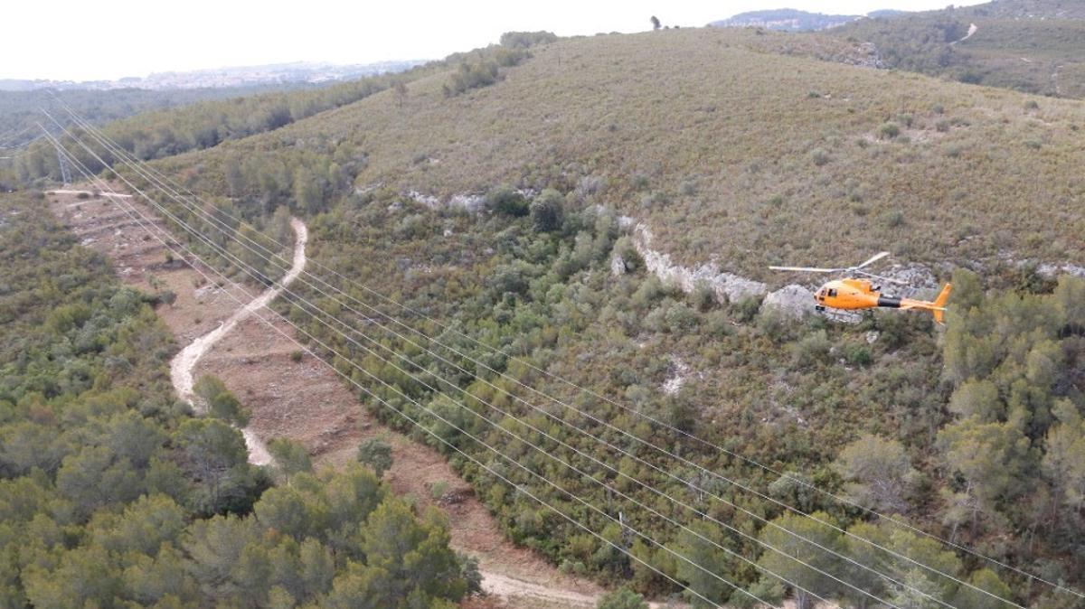 Un helicóptero sobre zona forestal por donde pasan las líneas eléctricas.