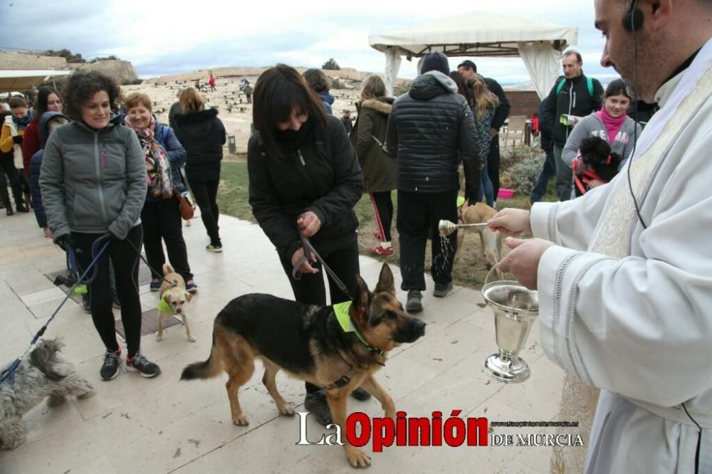 Jornada especial por San Antón en la Fortaleza del Sol de Lorca