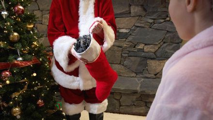 563a1f92-7146-40c2-806e-08bdd304f726_16-