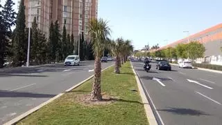Alicante "pone guapa" la avenida de Dénia para la Santa Faz de 2026