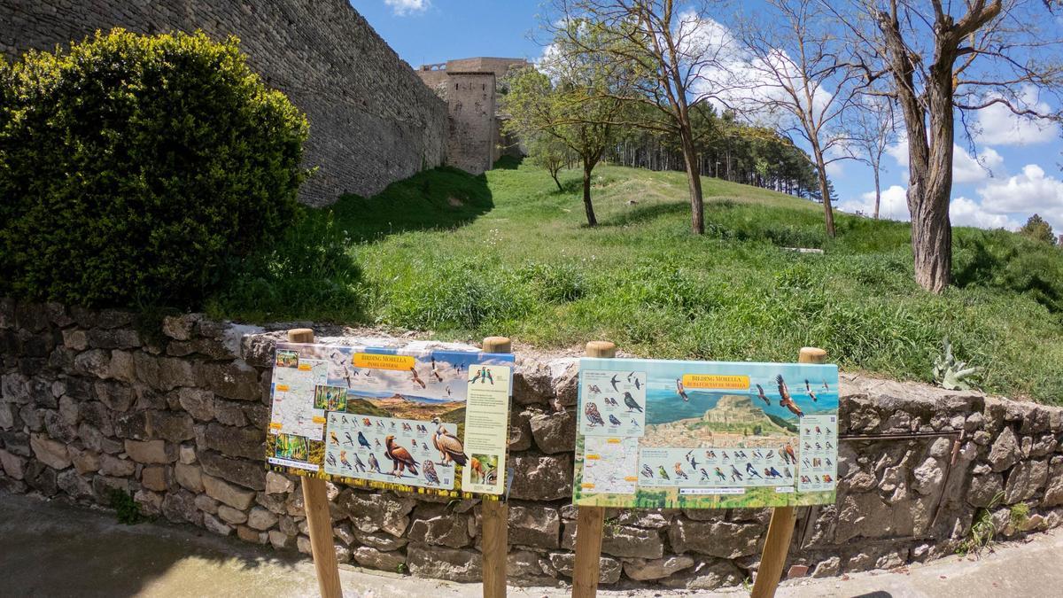 El projecte inclou quatre rutes que faciliten l'observació d'aus i potencien el contacte amb la natura.