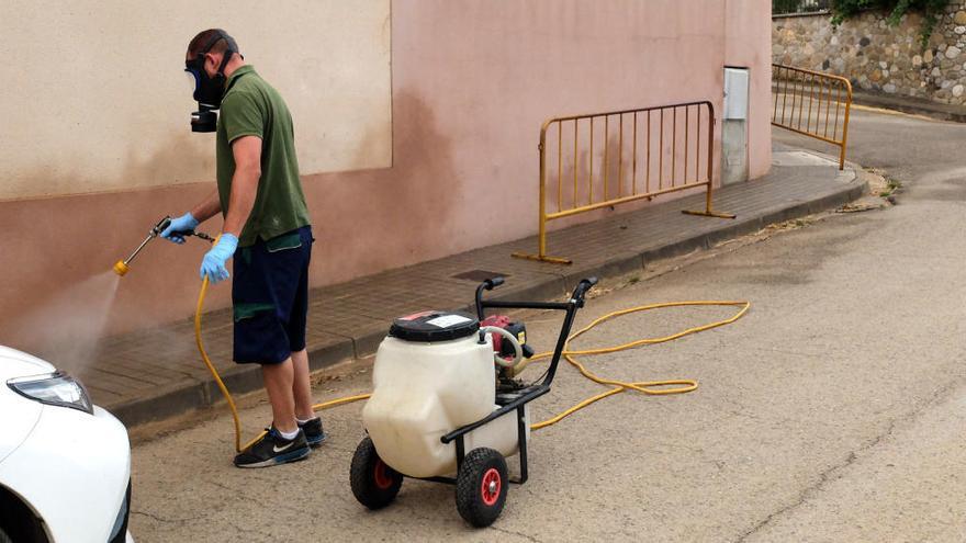 La plaga de xinxes remet per l&#039;efecte de la pluja  i les fumigacions