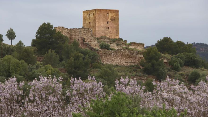 Un paseo por...Torres Torres