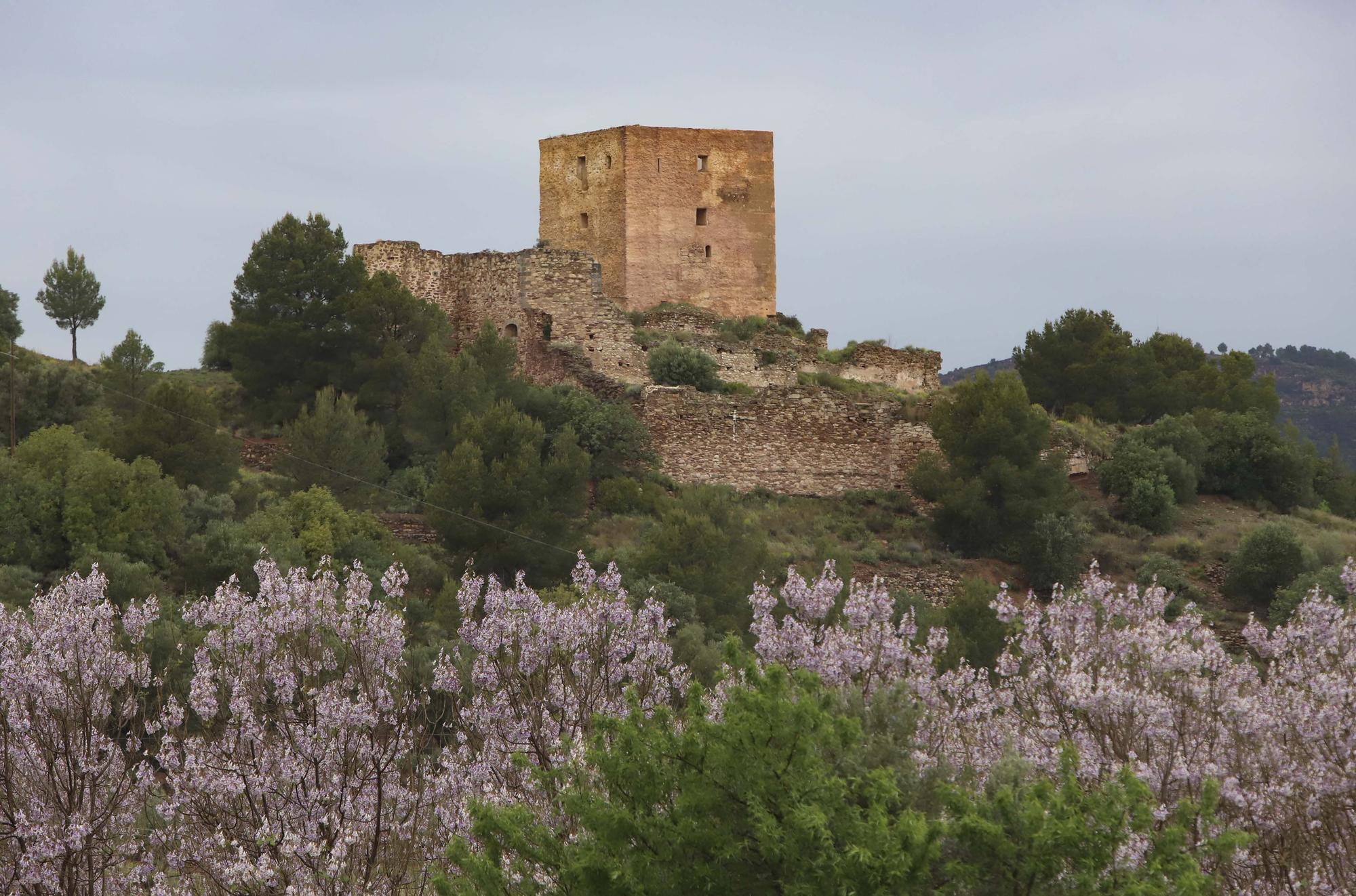 Un paseo por...Torres Torres