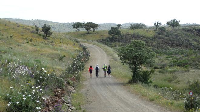 Caminos de Santiago