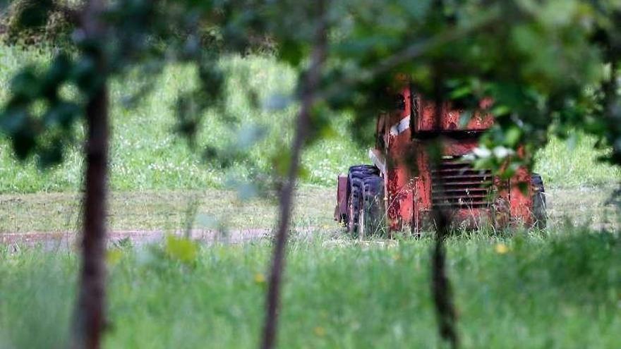 El tractor que volcó sobre Jardón, el domingo, en la finca.