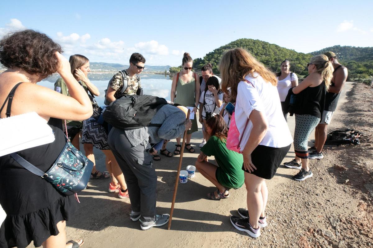 Galería: Así es una visita guiada al Parc Natural de ses Salines