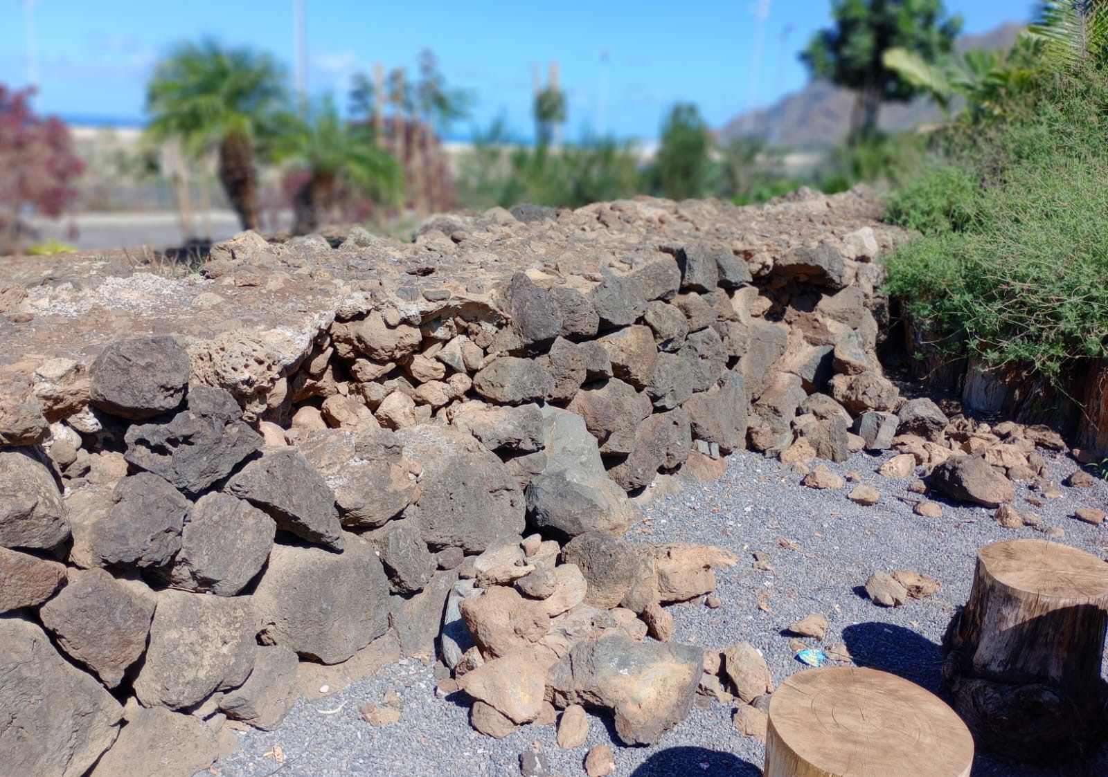 Vandalismo en un parque de La Laguna