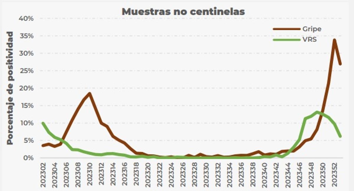 Incidencia de la gripe y la bronquiolitis, que se modera en la primera semana del año