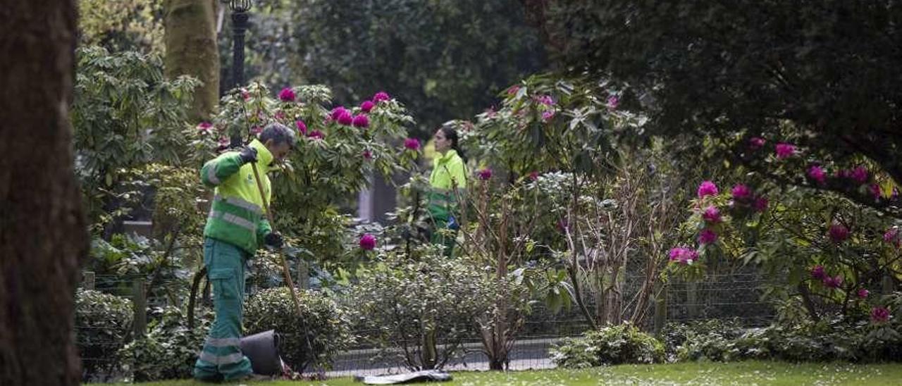 Operarios de Parques y Jardines trabajan en el Campo San Francisco.