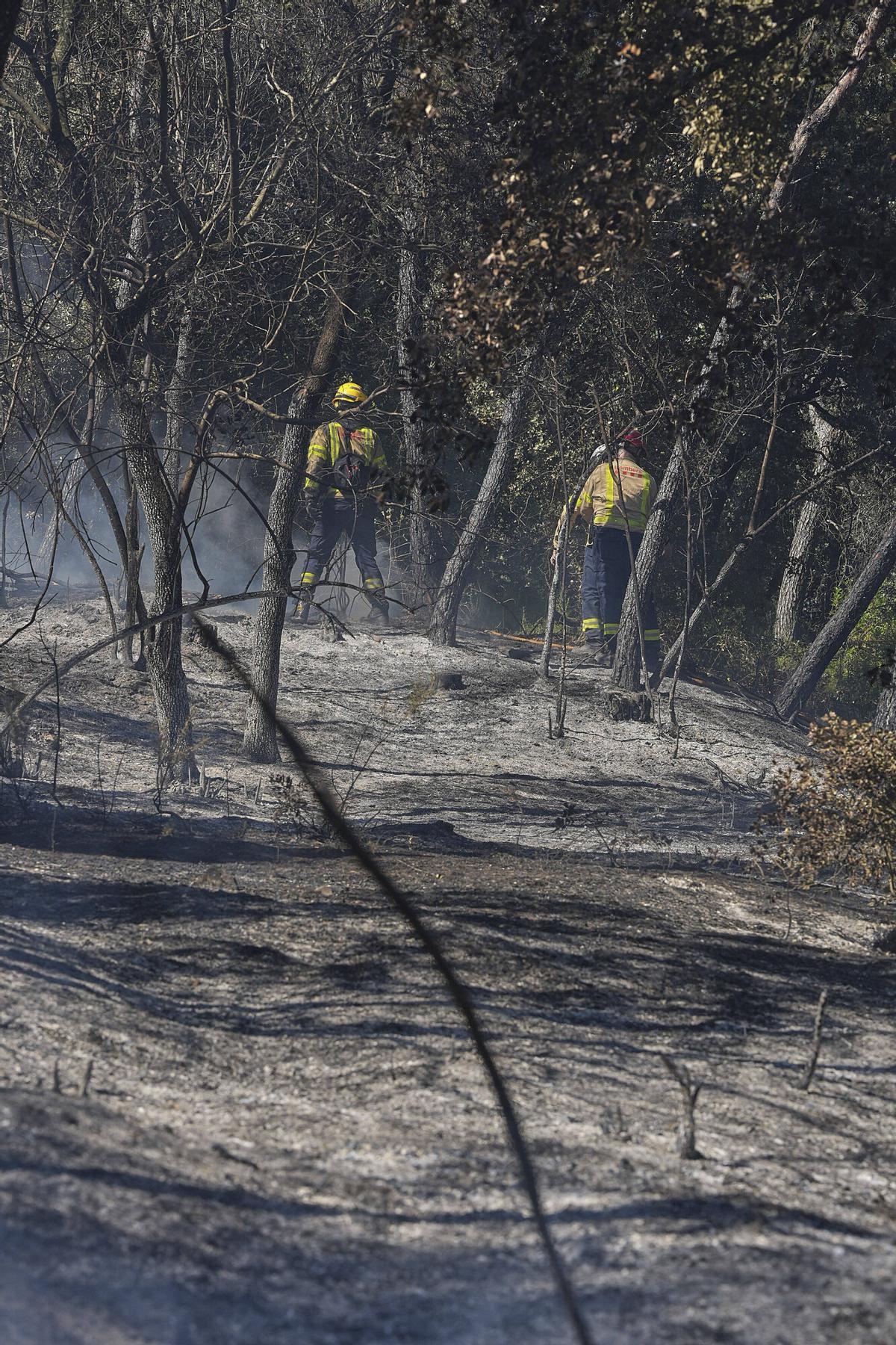 Les imatges de l'incendi de Vilavenut Les imatges de l'incendi de Vilavenut