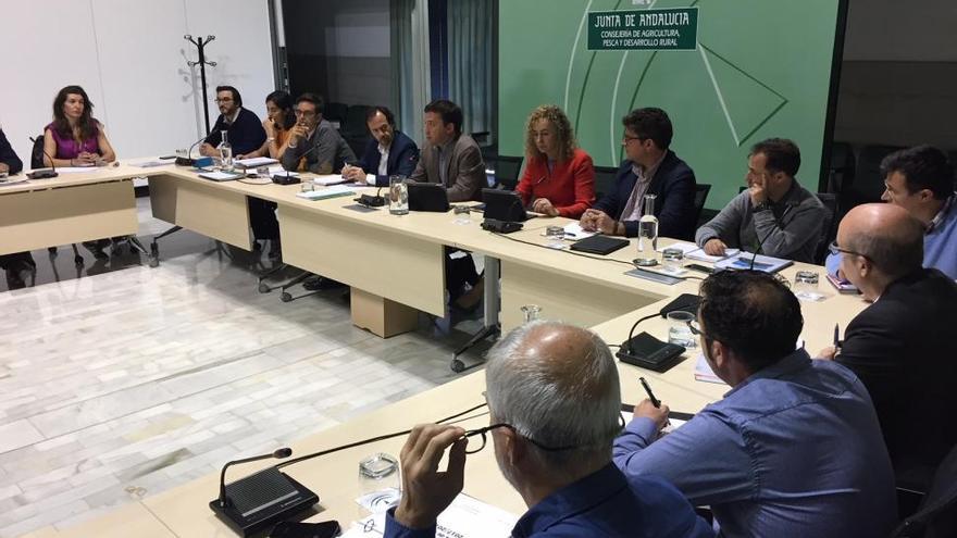 La Junta pide calma tras la aparición de Xylella en una planta ornamental