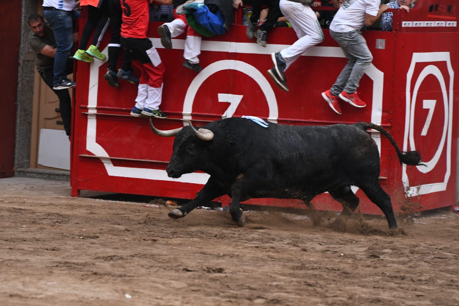 Exhibición de cuatro toros de Partida Resina en Onda