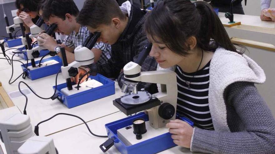 Varios de los estudiantes de primer curso del Bachillerato de Excelencia en el laboratorio.