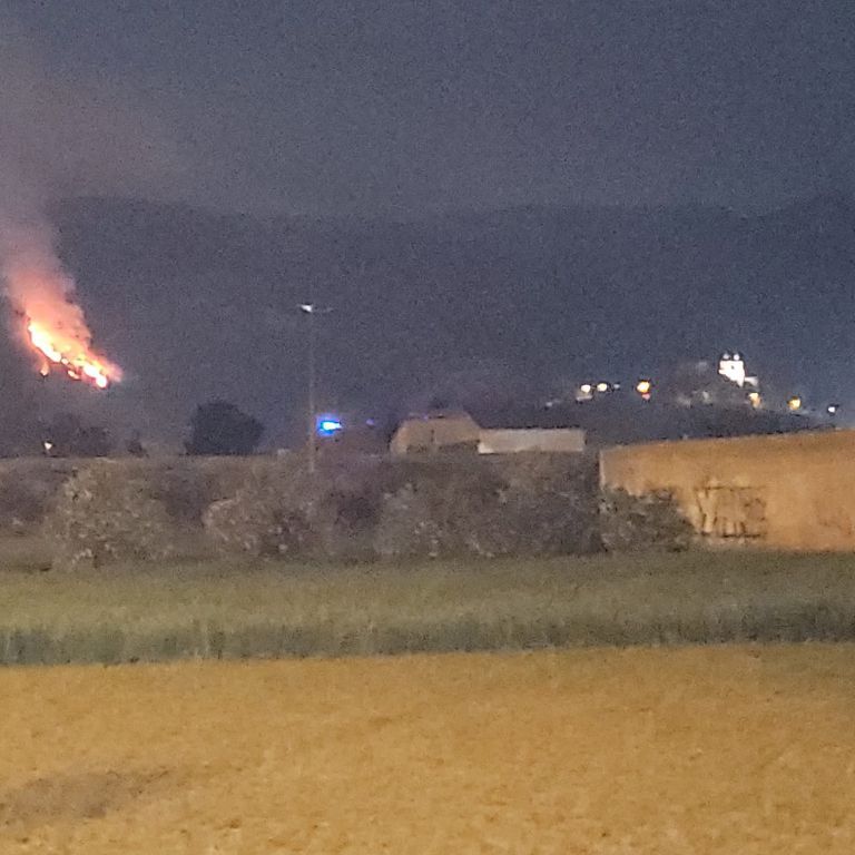 Las imágenes del incendio forestal en El Valle, junto a La Fuensanta
