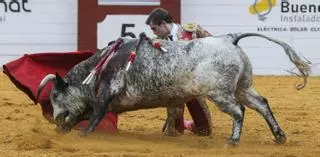 Cebada Gago: "Peluquero es el mejor novillo que hemos lidiado en Algemesí"