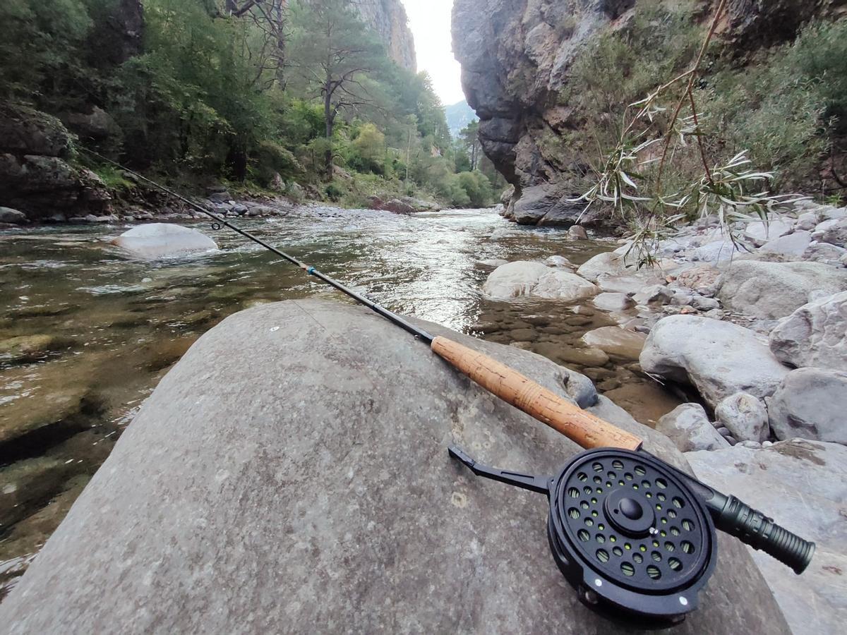 Galicia demuestra un año más su inagotable cantera de la pesca Galicia demuestra un año más su inagotable cantera de la pesca