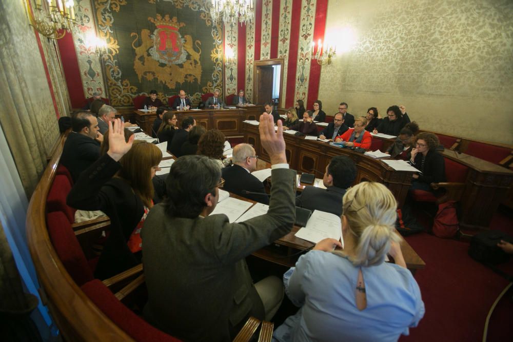 Pleno de presupuestos de Alicante