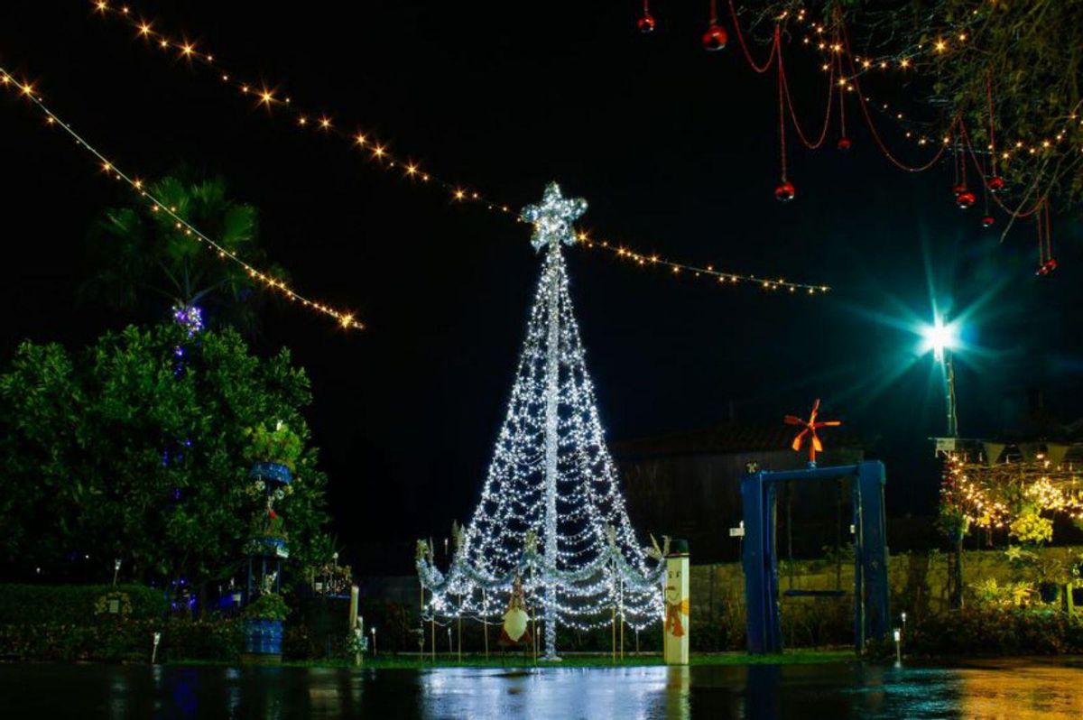 La Navidad brilla más que nunca en Molleda
