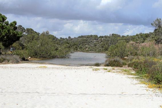 Der Naturpark Mondragó gehört zu den schönsten Ecken der Insel. Ein Besuch, jetzt, wo es noch nicht so voll ist.