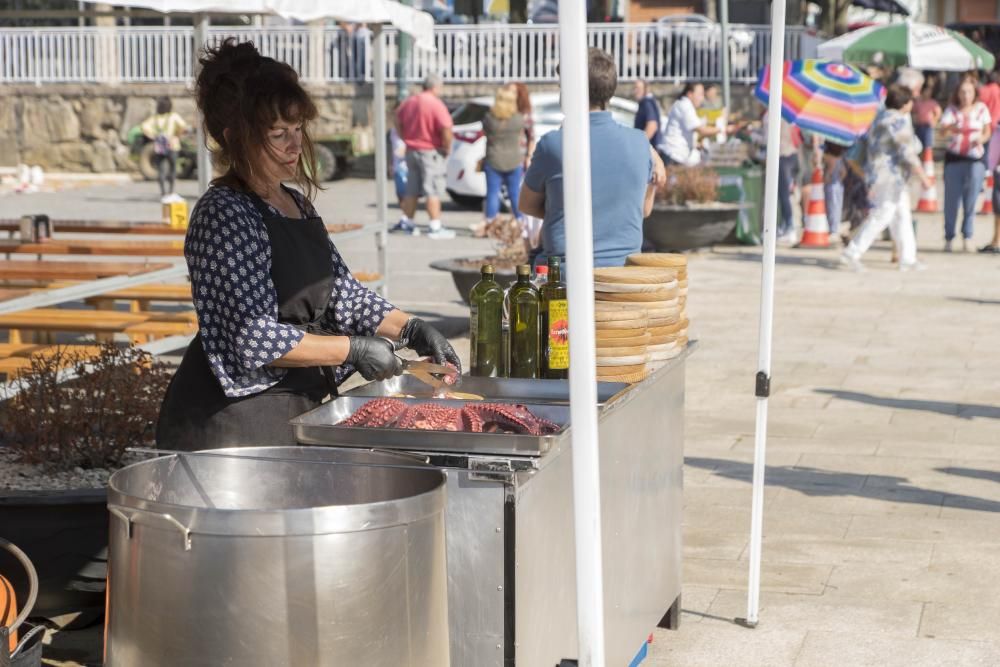 La Festa da Sidra de la parroquia viguesa rompe todas la previsiones, con más de 5.000 asistentes, 1.200 litros del brebaje despachados y 6.000 botellas vendidas. El ANPA Bene Vivere, manzana de oro.