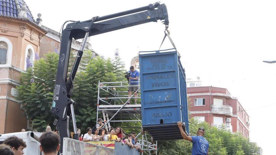 Fotogalerie: Stierkampf, Hommage, Mode und Inklusion bei den Festen zu Ehren der Mare de Déu de Gràcia in Vila-real