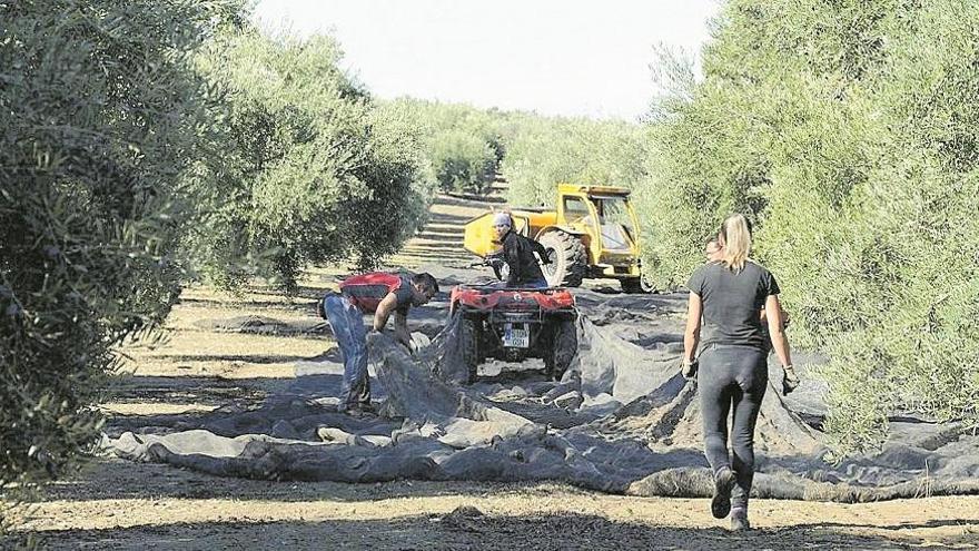 Agricultura trabaja para tener un «acuerdo nacional» en la PAC