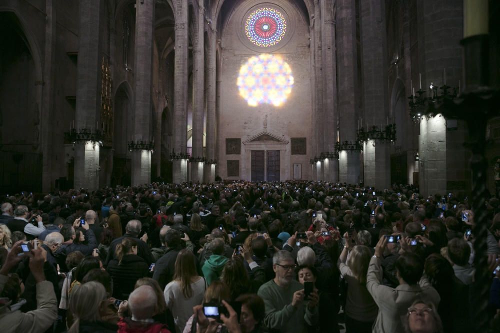 Die Sonne hat mitgespielt: Am Freitagmorgen (11.11.) zog die magische Acht in der Kathedrale von Palma Einheimische wie Mallorca-Urlauber in ihren Bann.