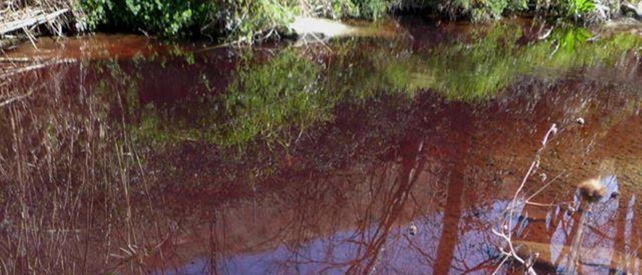 Ontinyent investiga el origen del color rojo del agua del Clariano