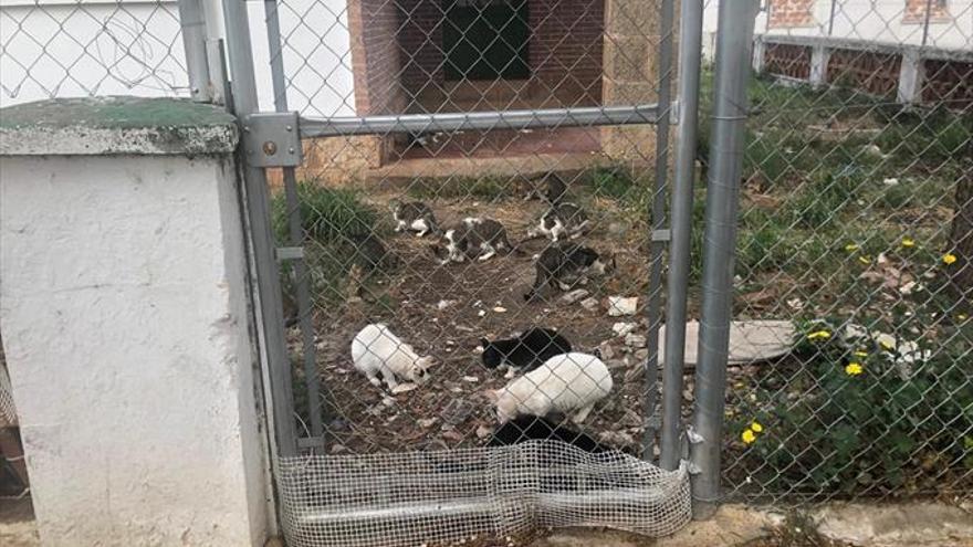 Las casas de los policías de avenida de Cervantes se derribarán para hacer viviendas