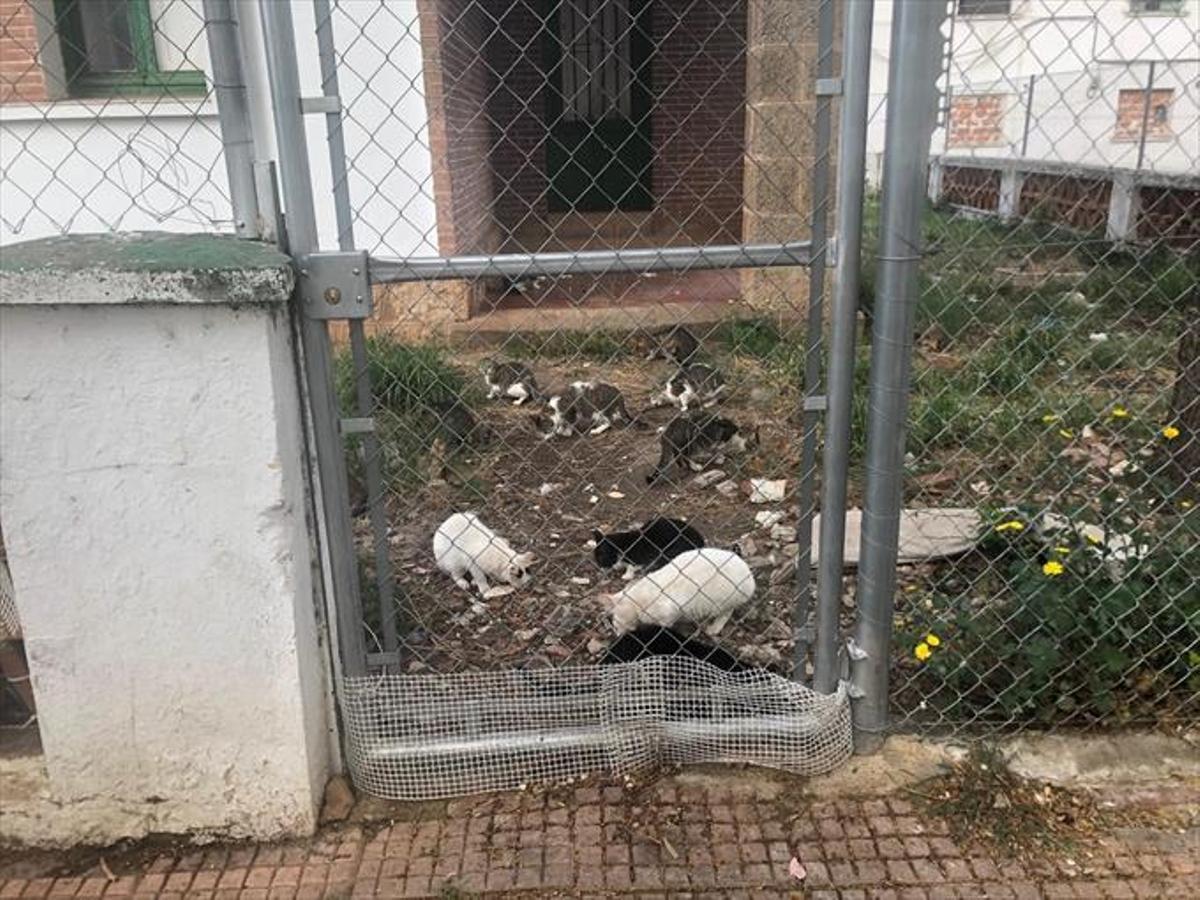 Las casas de los policías de avenida de Cervantes se derribarán para hacer viviendas