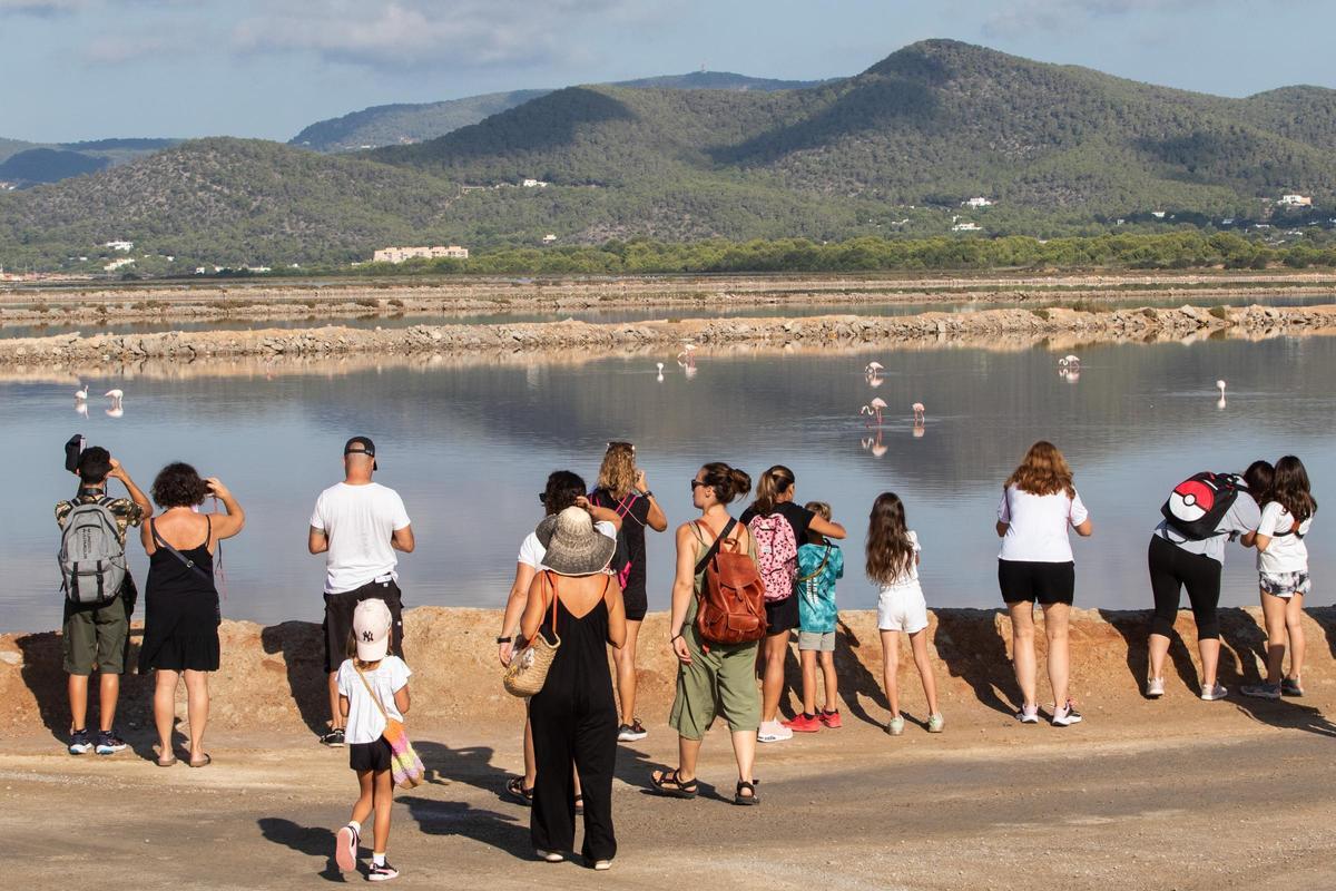 Galería: Así es una visita guiada al Parc Natural de ses Salines