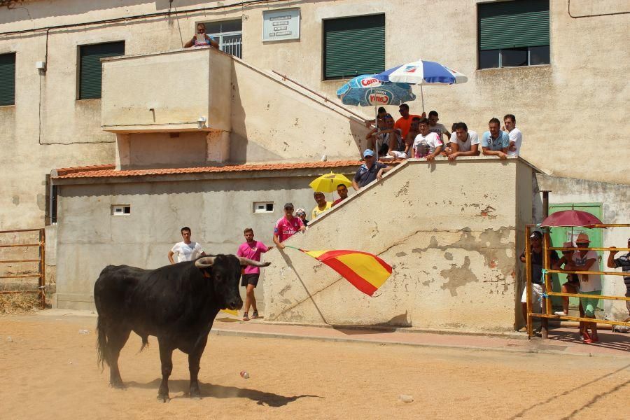 Fiestas en Zamora: Encierro en Argujillo