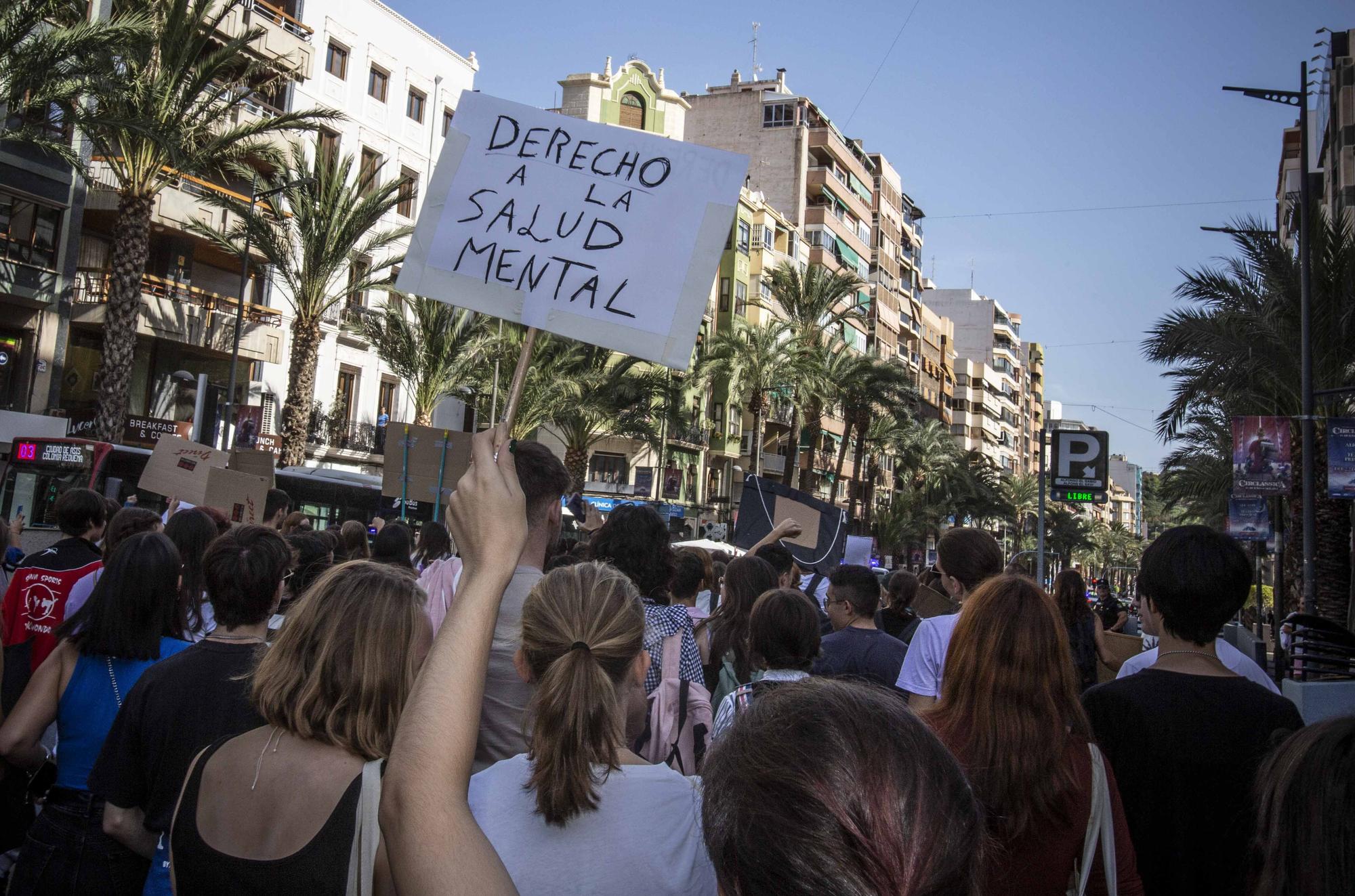 Estudiantes de Alicante reclamar más medios para la salud mental a Sanidad