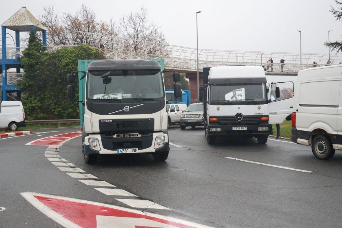 Fotogalería | Imágenes de la tractorada en Cáceres, este miércoles