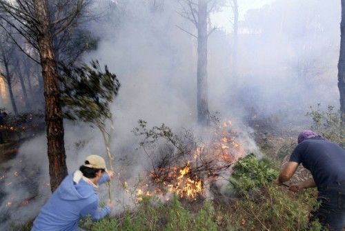 Incendi forestal a peu de les Gavarres