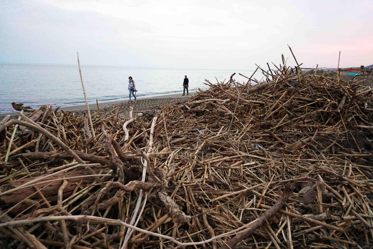 Cañas apiladas en la playa de Guadalmar.