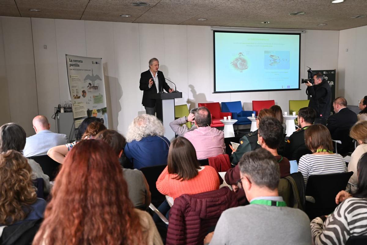 Presentación de las conclusiones del proyecto Life Cerceta Pardilla en Elche