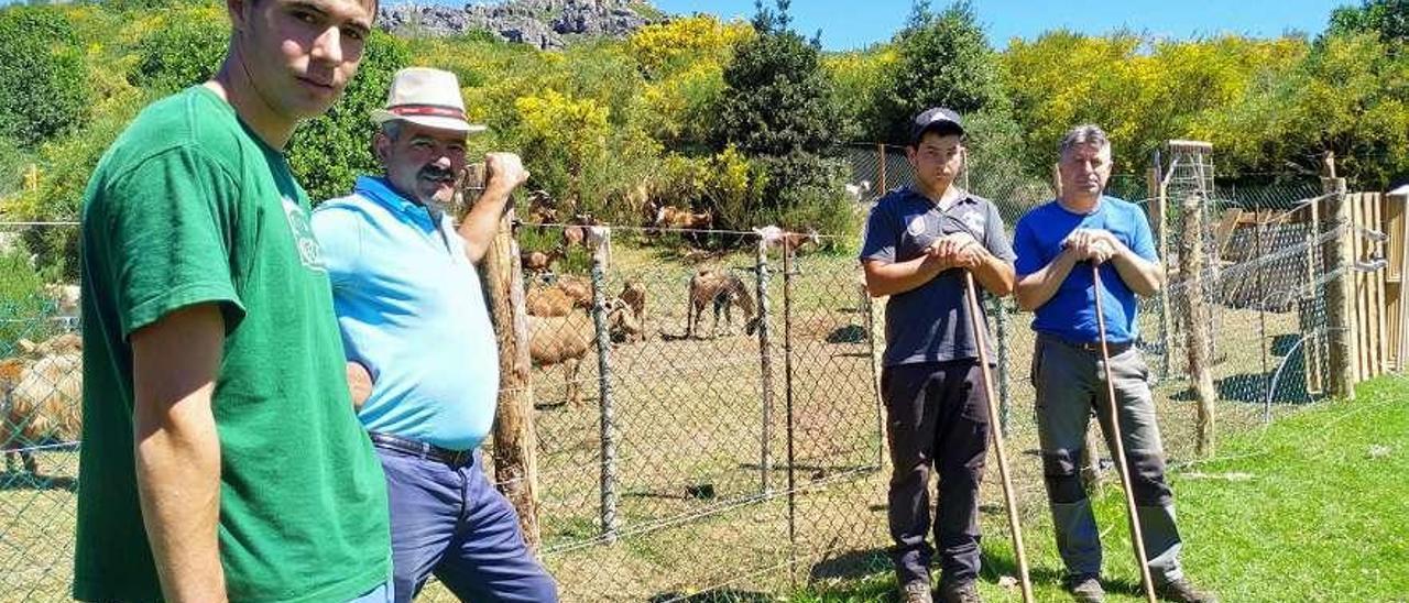 Borja Riesgo, Jacinto Arias, Cristian Cobrana y Victorino Cabo delante del cercado de El Rozo (Somiedo).