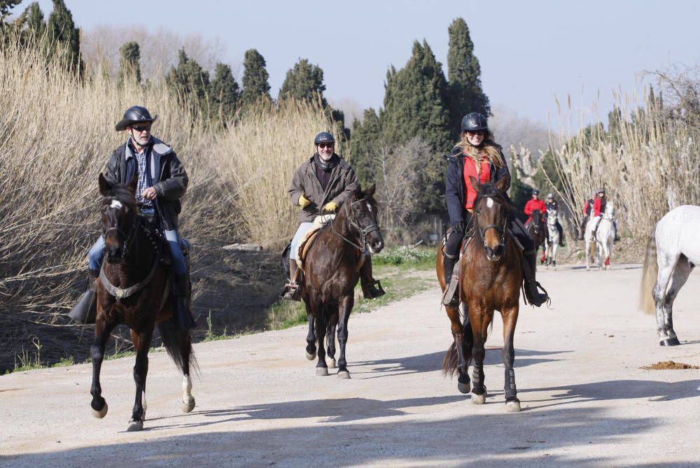 Festa de Sant Antoni Abat a Torroella de Montgrí