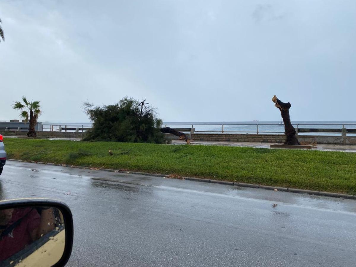 FOTOS │Una intensa tormenta barre Mallorca FOTOS │Una intensa tormenta barre Mallorca