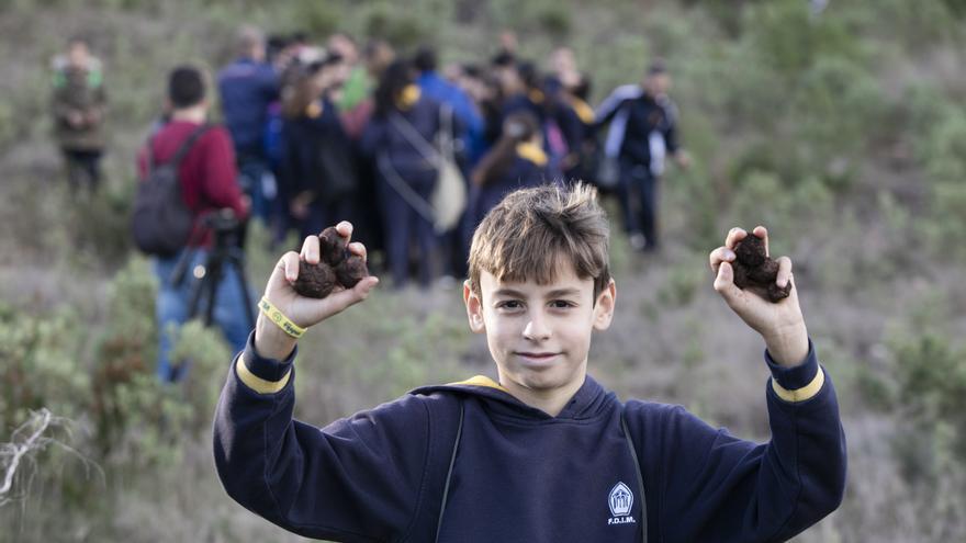 ‘Bombas de semillas’ para reforestar el bosque en Ibiza