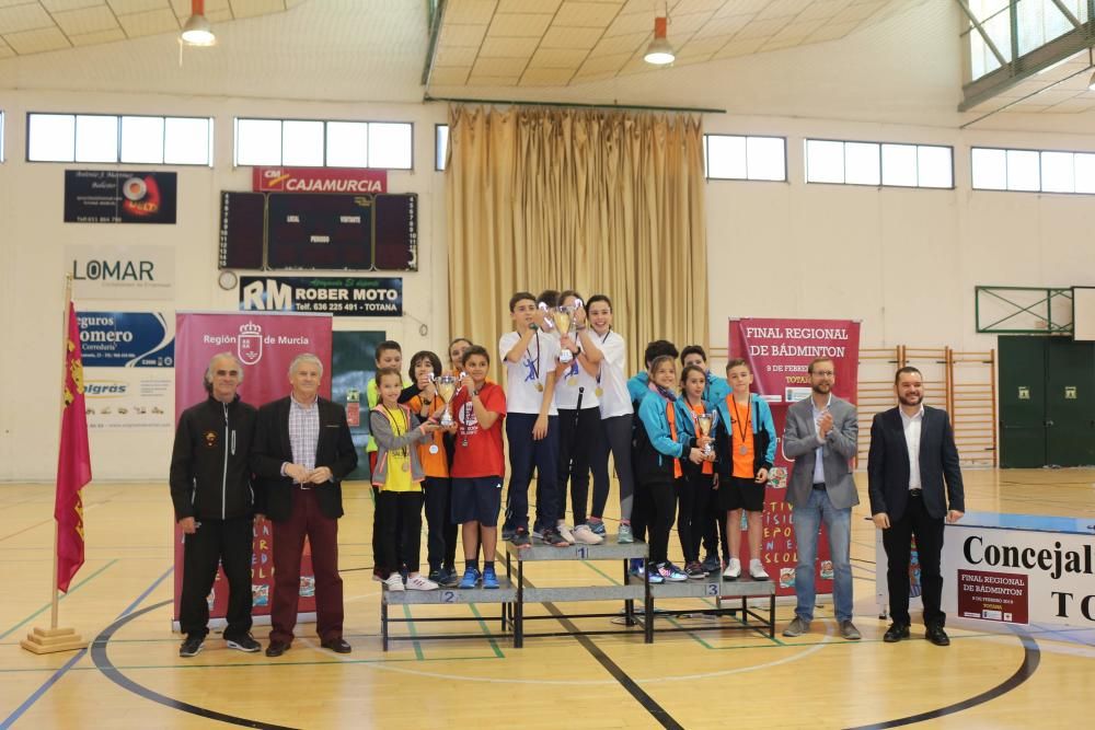 Final Regional de bádminton de Deporte Escolar