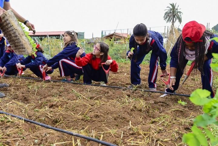 Visita escolar a la Granja Agricola del Cabildo