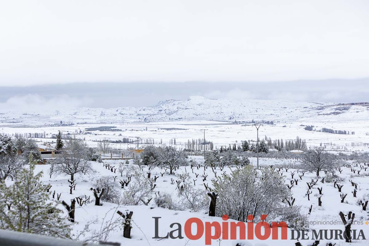 La comarca del Noroeste ofrece una estampa invernal