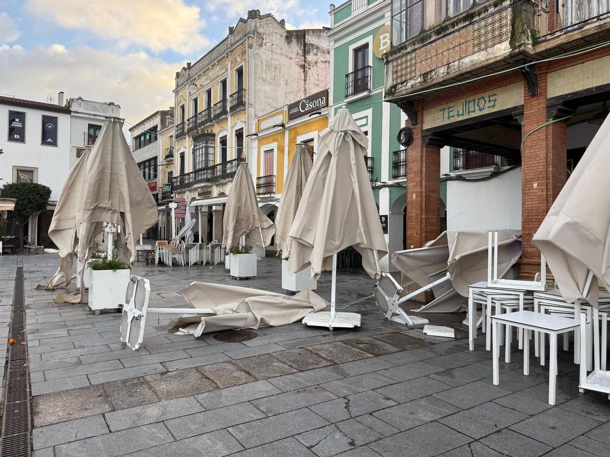 Daños causados por el vendaval.