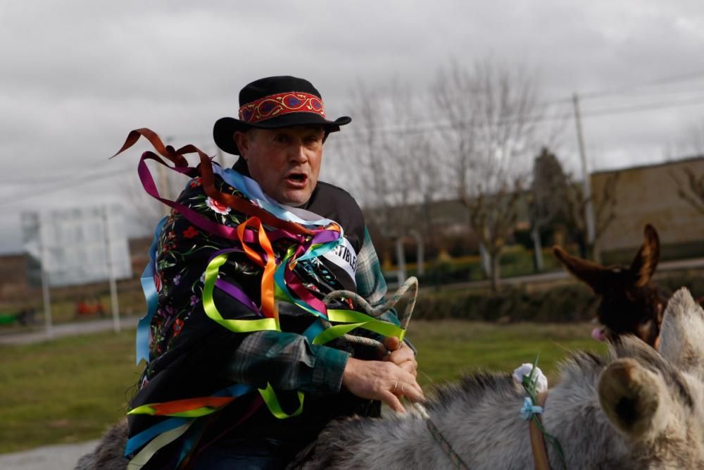 Carrera de cintas en burro en Molacillos.