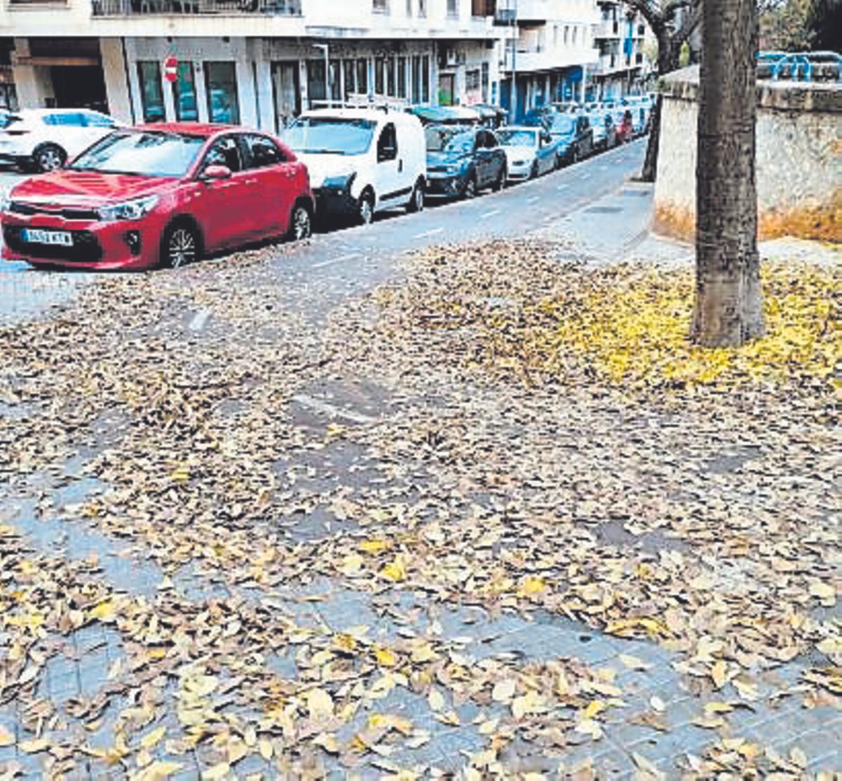 La capa de hojas secas que cubre muchos tramos de los carriles bici de Palma