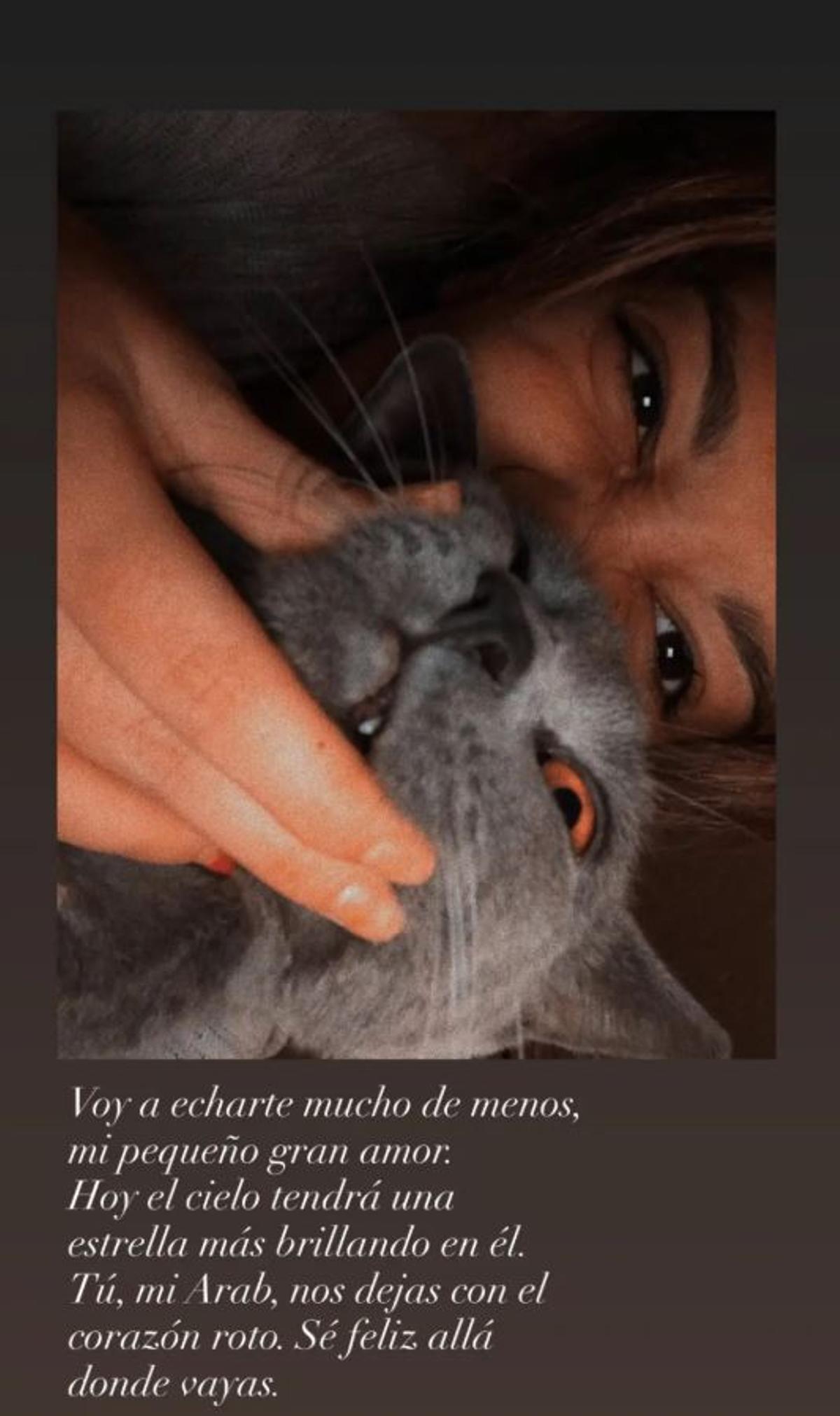 María José Campanario comunica la dura pérdida de su "gran amor" y se despide de las redes sociales: "Voy a echarte mucho de menos"