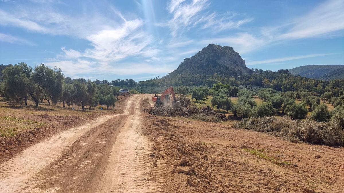 Una máquina trabaja en el desbroce del trazado por el que discurrirá la red de abastecimiento de agua para el sur de la provincia de Córdoba.